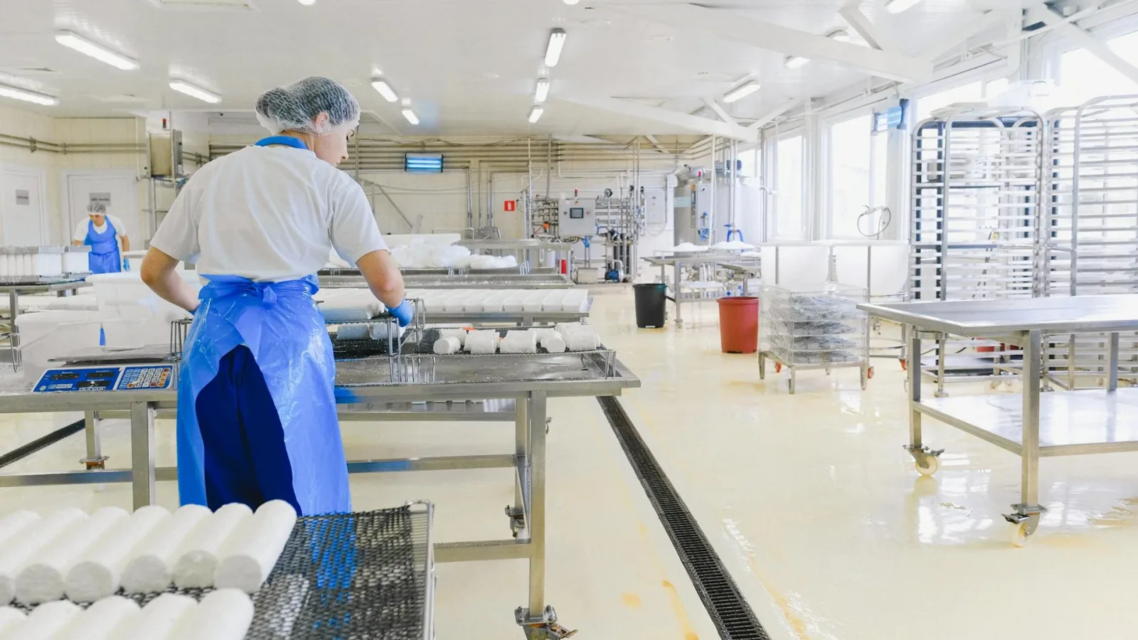 Industria Uleiului Alimentar